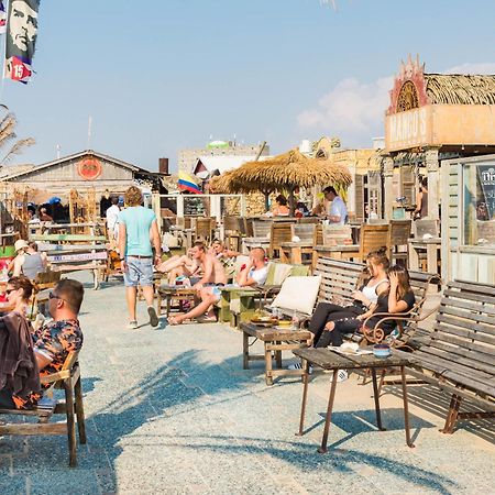 Chalet Zandvoort Kültér fotó