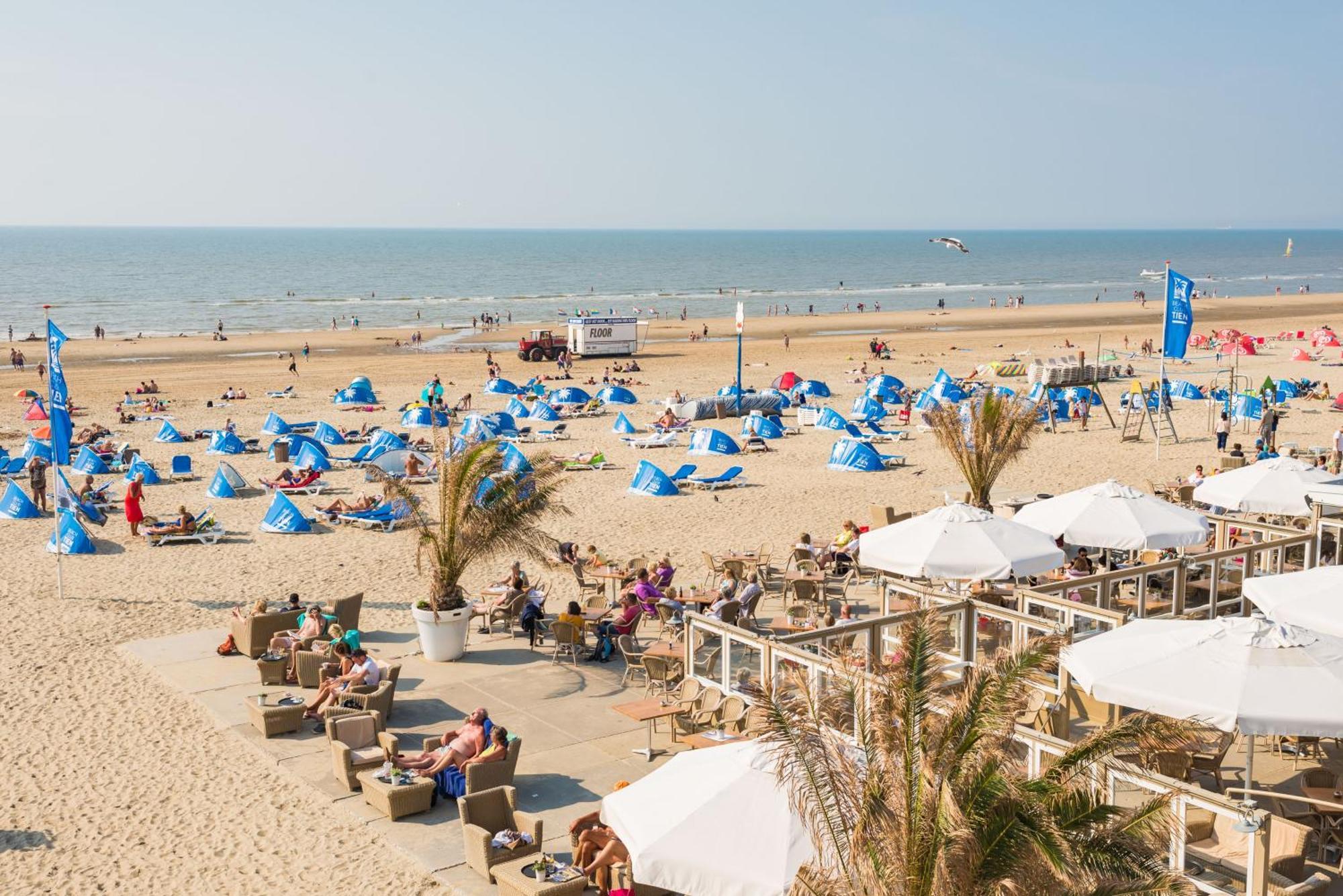 Chalet Zandvoort Kültér fotó