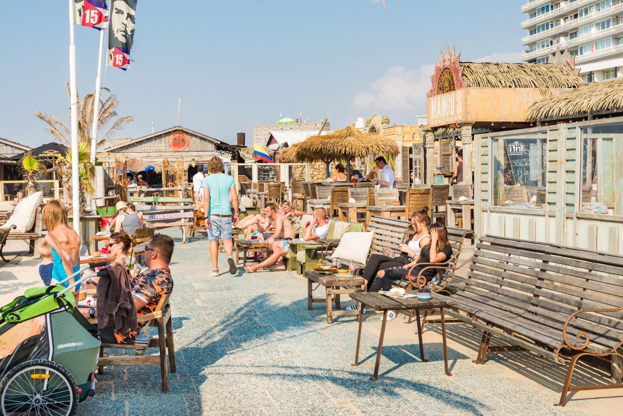 Chalet Zandvoort Kültér fotó